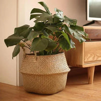 Wicker hanging basket for storage and decoration
