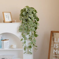 Artificial plants suspended begonia vines and silk fern