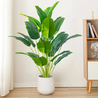 Large tropical palm with banana leaves and plastic strelizia