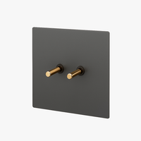 Double switch 2-way switch in brushed and gold grey steel