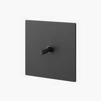 Brushed Dark Grey Steel Single Switch, 86 X 90 mm