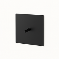 Single switch in black matt steel