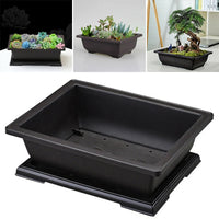 Plastic rectangular flower pot for bonsai and garden