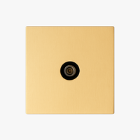 TV socket in brushed gold steel