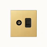 TV and RJ45 brushed gold steel socket