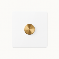 Variator in white matt and gold steel rounded edges