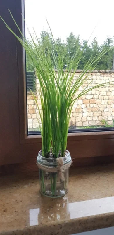 Bouquet of tropical artificial plants for interior and exterior decoration - view 8