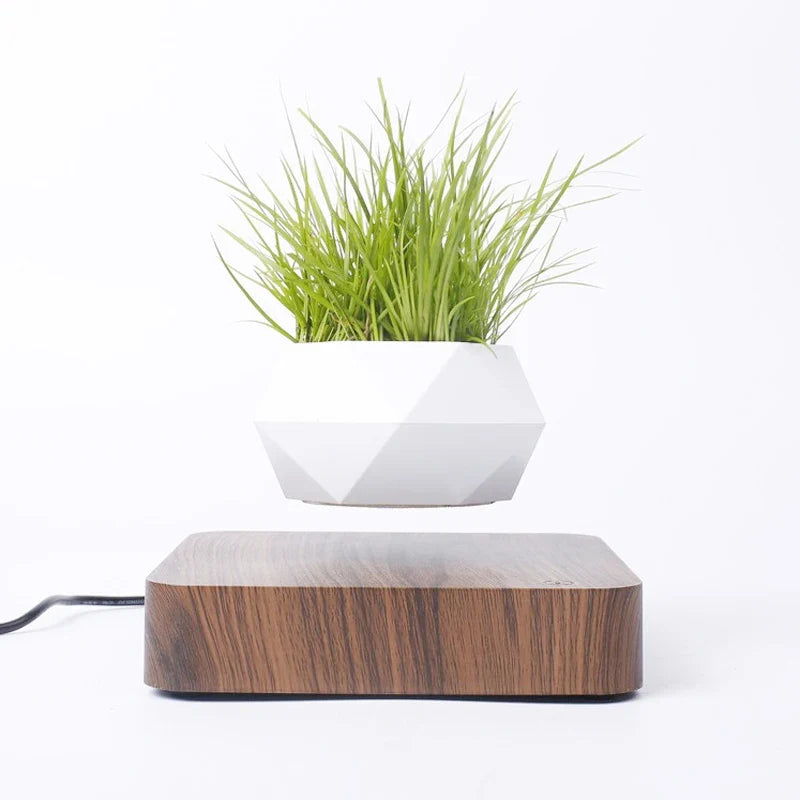Magnetic levitation bonsai pot for special decoration - view 4
