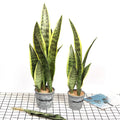 Succulent artificial plants aloe vera for outdoor interior decoration