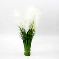 Pampa blanche