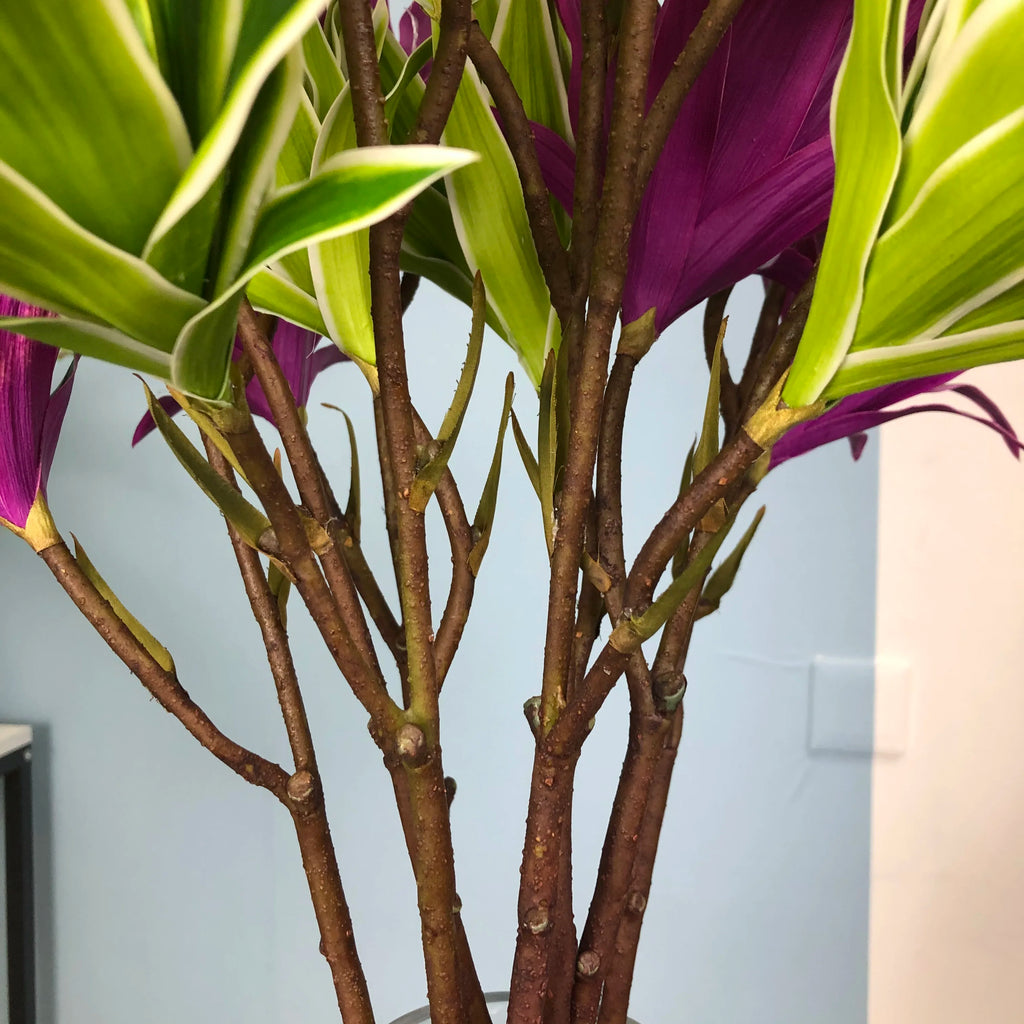 Large artificial lyes branches with realistic foliage for decoration - view 5