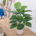 60cm 18 feuilles persistantes