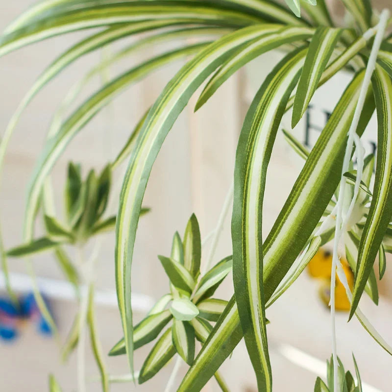 Artificial plants suspended with 5 forks for interior decoration - view 3