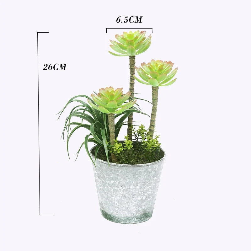 Artificial tropical cactus for office decoration - S1