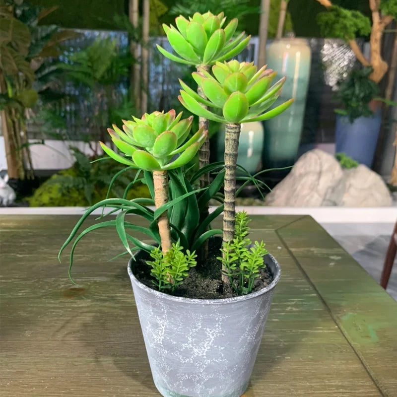 Artificial tropical cactus for office decoration