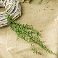 Artificial succulent plants for wall decoration in rattan - 1 Piece