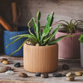 Scratch concrete and silicone flower pot mould