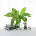50cm 11 Leaves G