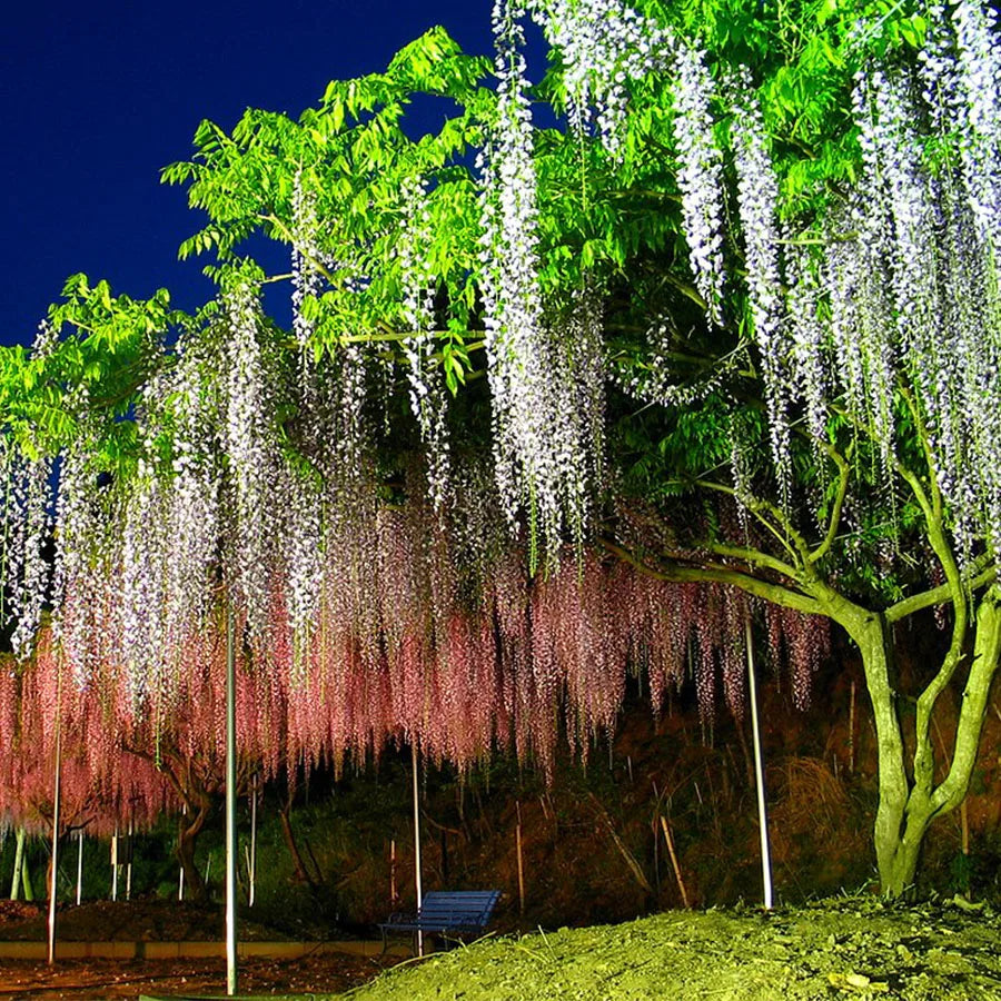 Artificial cherry flower for festive and wedding decorations - view 5