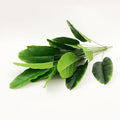 Tropical artificial banana with large plastic sheets - 85cm 24 Green Leaves