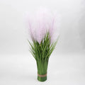 Purple Pampas