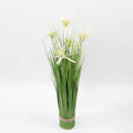 White Orchid