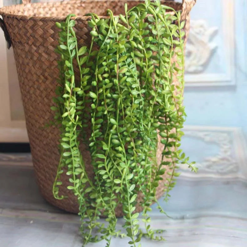 Artificial succulent plants for wall decoration in rattan