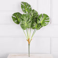 Monstre 65cm 7 feuilles
