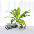 50cm 11 Feuilles E