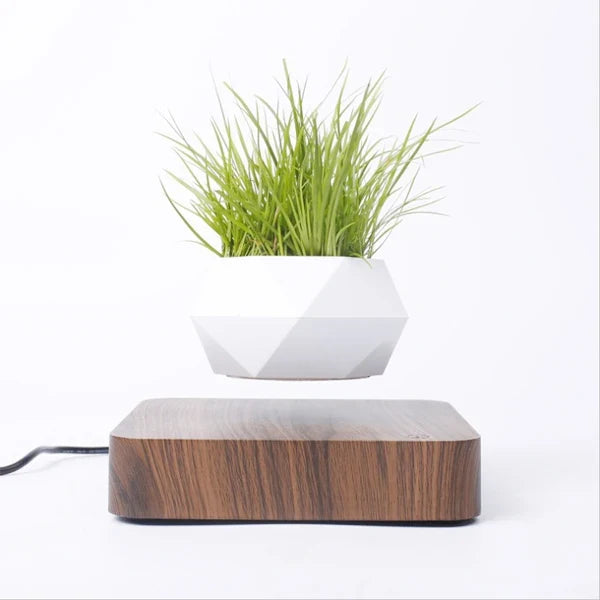 Magnetic levitation bonsai pot for special decoration - Dark colour / UK Plug