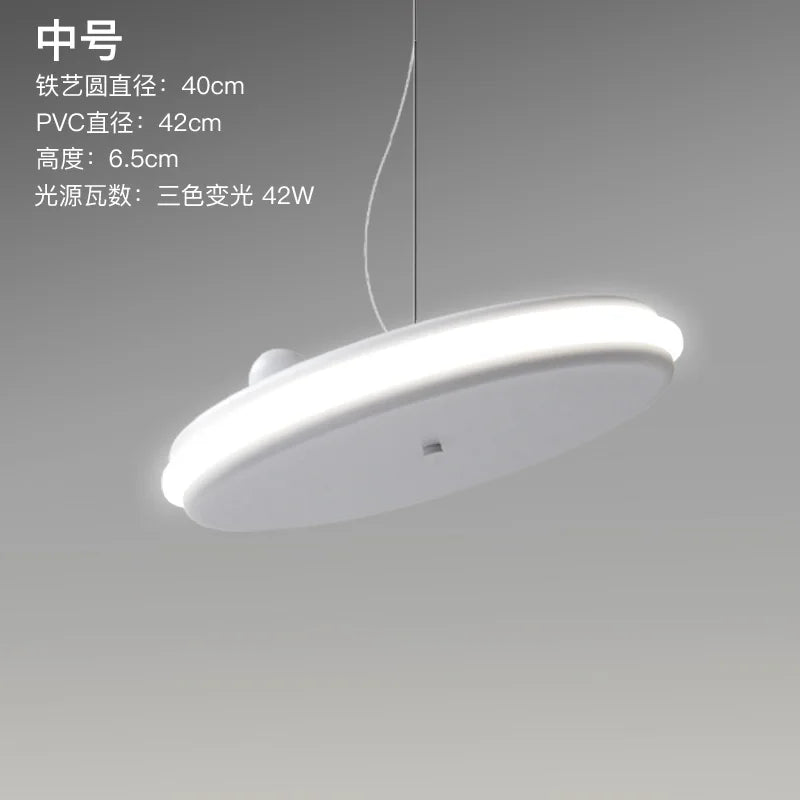 Modern minimalist design pendant light for creative interior - Medium