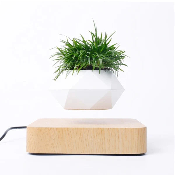 Magnetic levitation bonsai pot for special decoration - Light Color / UK Plug