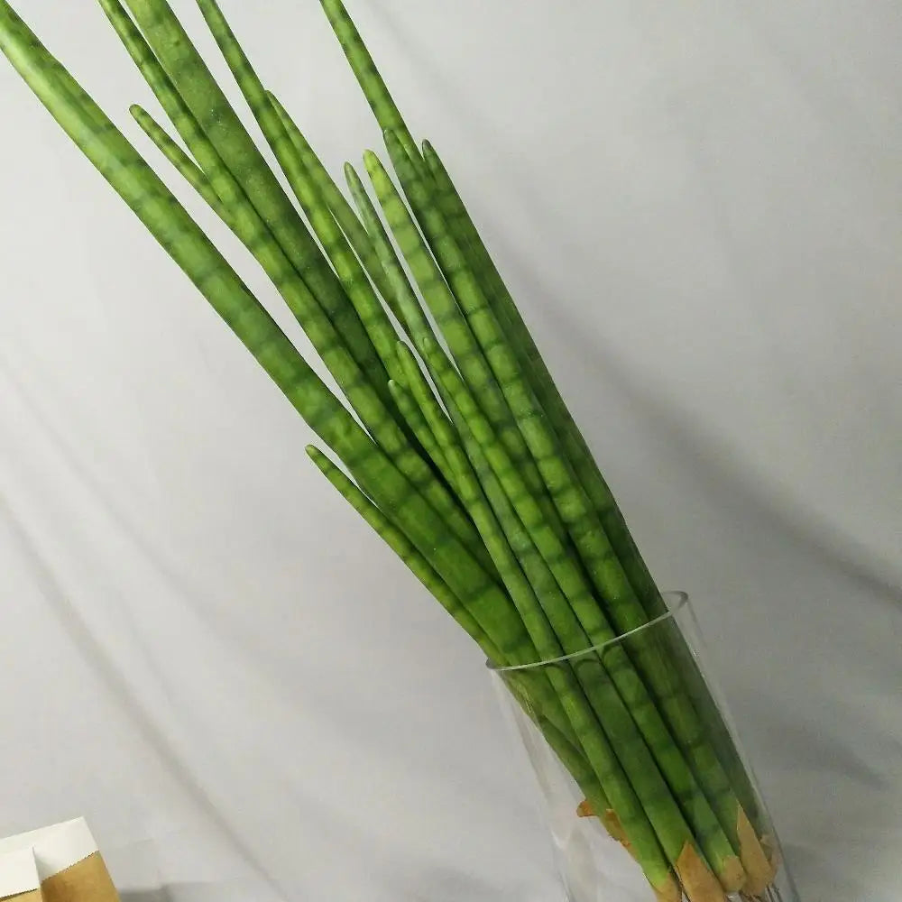 Plastic cylindrical artificial cactus for interior and exterior decoration - view 5