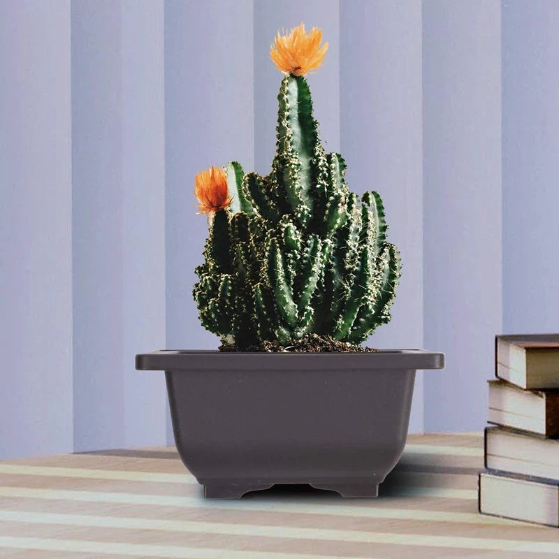 15 PCS 4.7 Inch Flower Pot, Square Plastic bonsai Training Pot, Flower Succulent Flower Pot Container, for Garden, Interior, Hom - view 3