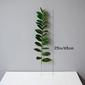 25 inches 25 Leaves