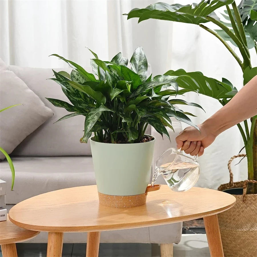 5-Pack 5-Inch Self-Watering Planters with Drainage Holes - view 2