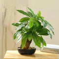 Artificial tree monstera pot fake tropical plants interior decoration