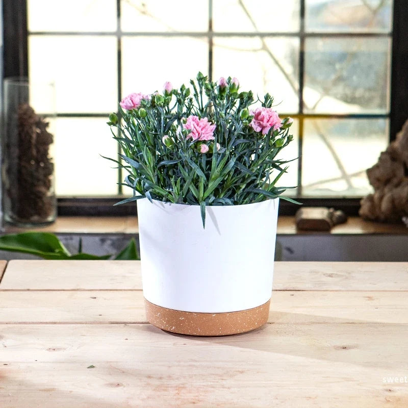 Large plastic circular pot for indoor plants with drainage and tray - view 3