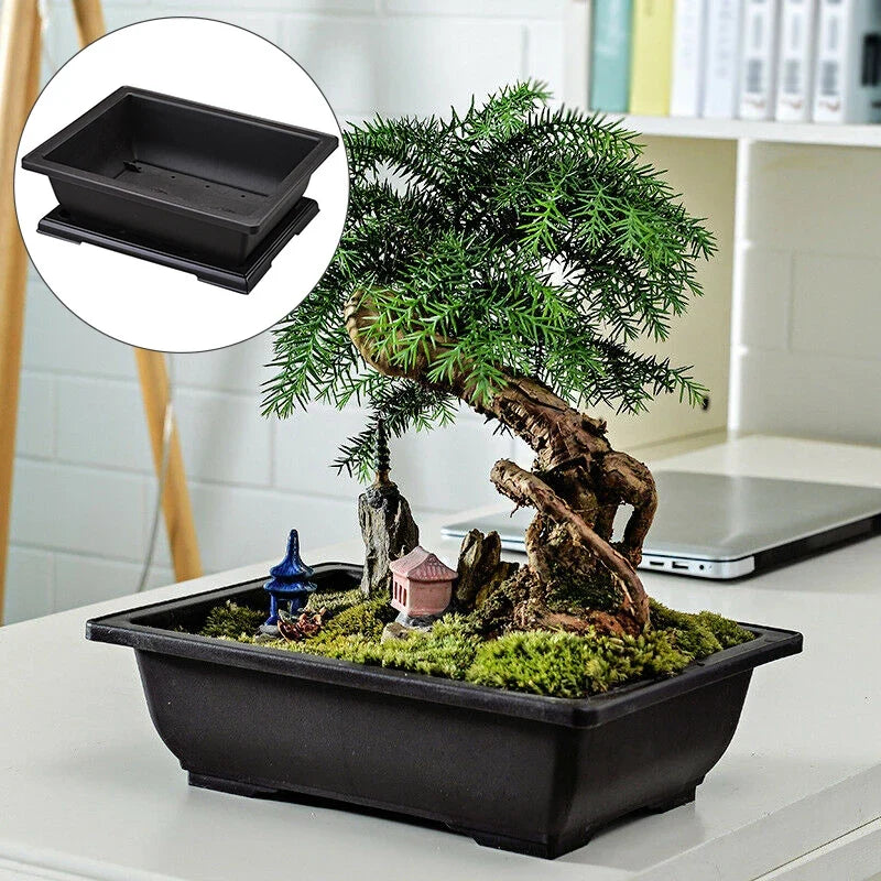 Plastic rectangular flower pot for bonsai and garden - view 2