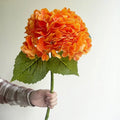 Hortensia orange