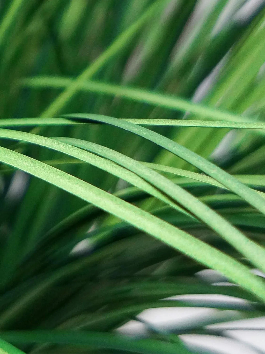 Artificial plants onion grass for wedding garden interior decoration - view 6
