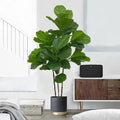 Artificial ficus branch for interior and exterior decoration