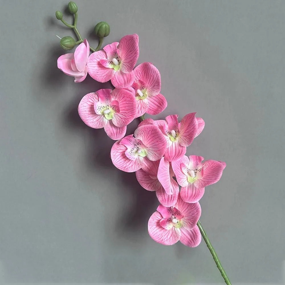 Artificial plants phalaenopsis 3d touch realistic decorative orchid - Pink