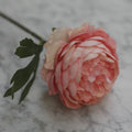 Dark Pink