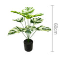55cmNoPot Light Green