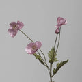Type B Light Purple