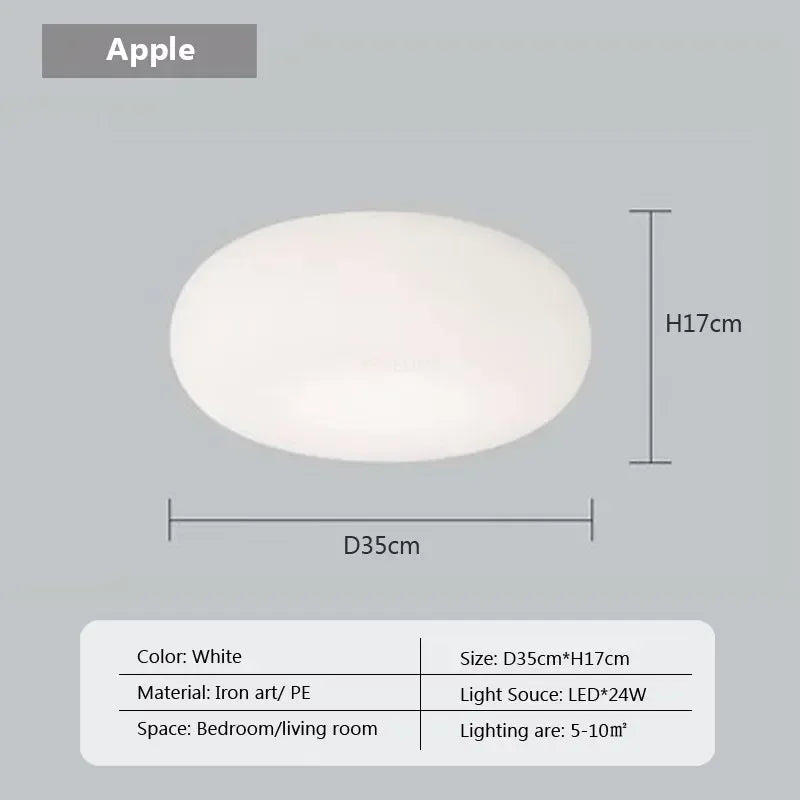 Modern girl's room lamp, warm and romantic living room atmosphere decoration lamp - PL802 B 35cm CL / Stepless dimming-RC
