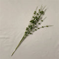 Festive decoration of the new year 2024 with sparkling berries and flowers - Green