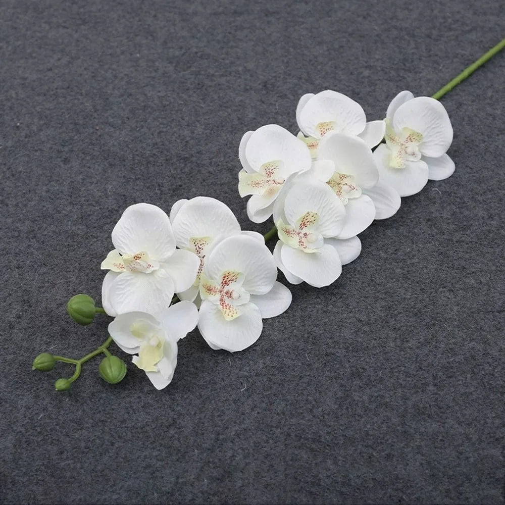 Artificial plants phalaenopsis 3d touch realistic decorative orchid - White