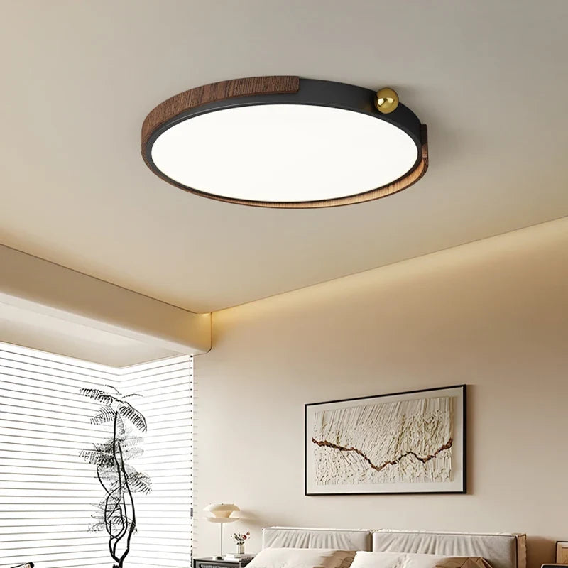 LED Nordic ceiling lamp for interior design - view 4